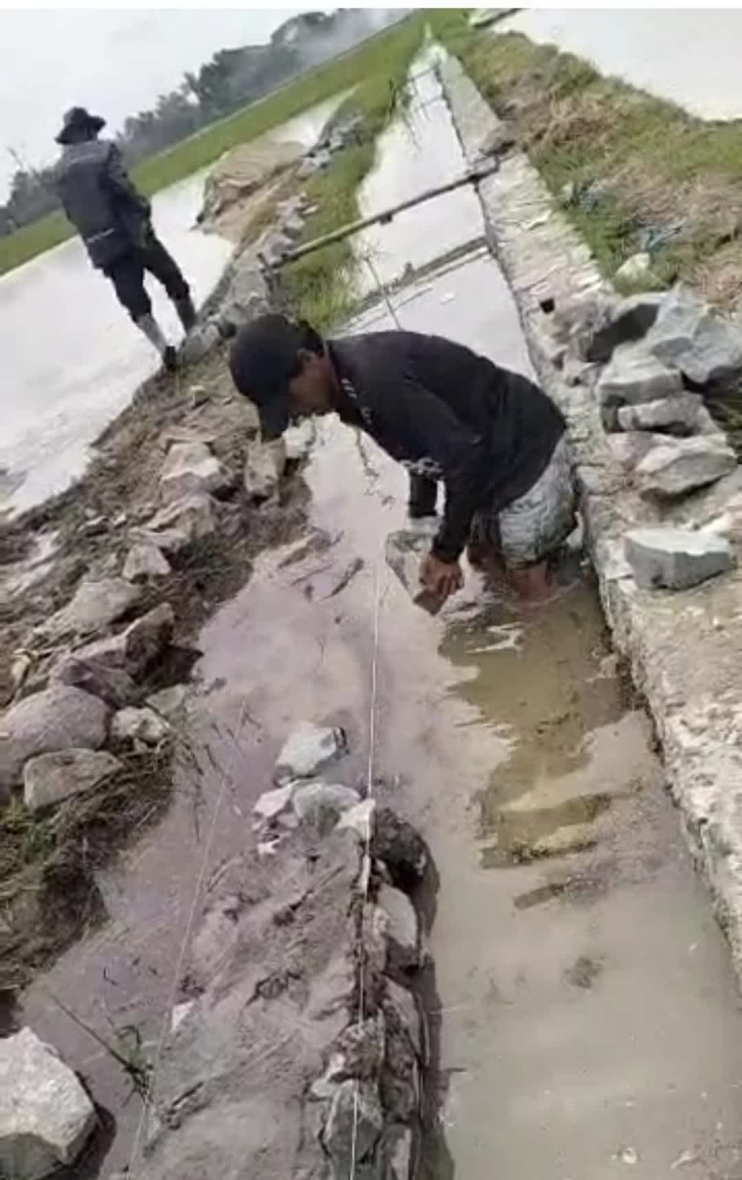 Pekerjaan Poyek P3 TGAI di Desa Kresek Diduga Diborongkan, Tidak Berdayakan Petani Setempat