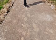 Pekerjaan Proyek Paving Blok di Kp.Soge RT.02/01 Desa Patrasana Kec.Kresek Diduga Terindikasi Korupsi Berjamaah