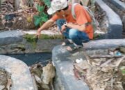 DPD LSM PENJARA PN : Proyek Spal di Kp.Sindang Asih Desa Bunar Kec.Sukamulya Diduga Gagal Fungsi