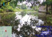 Kades Onyam Kec.Gunung Kaler Tangerang Minta Pemerintah Normalisasi Sungai Cisadane Cegah Banjir Berulang