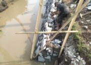 Proyek Senilai Rp.484 juta di Kec.Kemiri Minim Pengawasan