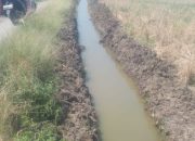 Proyek Irigasi Di Desa Kubang Puji Kec.Pontang Kab.Serang Di Duga Serobot Lahan Warga 