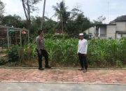 Bhabinkamtibmas Polsek Kresek Motivasi Warga Program Ketahanan Pangan