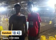 Pemuda Asal Kampung Koja Sukses Jadi Pengusaha Ternak Ayam Broiler, Punya Tiga Kandang dan Terus Berkembang