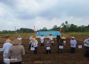 Giat Program Ketahanan Pangan Nasional, Kapolresta Tangerang Tanam Jagung di Kec.Kresek