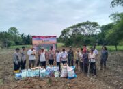 Dari Ladang Untuk Negeri : Polsek Carenang Tanam Jagung Kuartal III untuk Wujudkan Swasembada Pangan