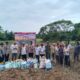 Dari Ladang Untuk Negeri : Polsek Carenang Tanam Jagung Kuartal III untuk Wujudkan Swasembada Pangan