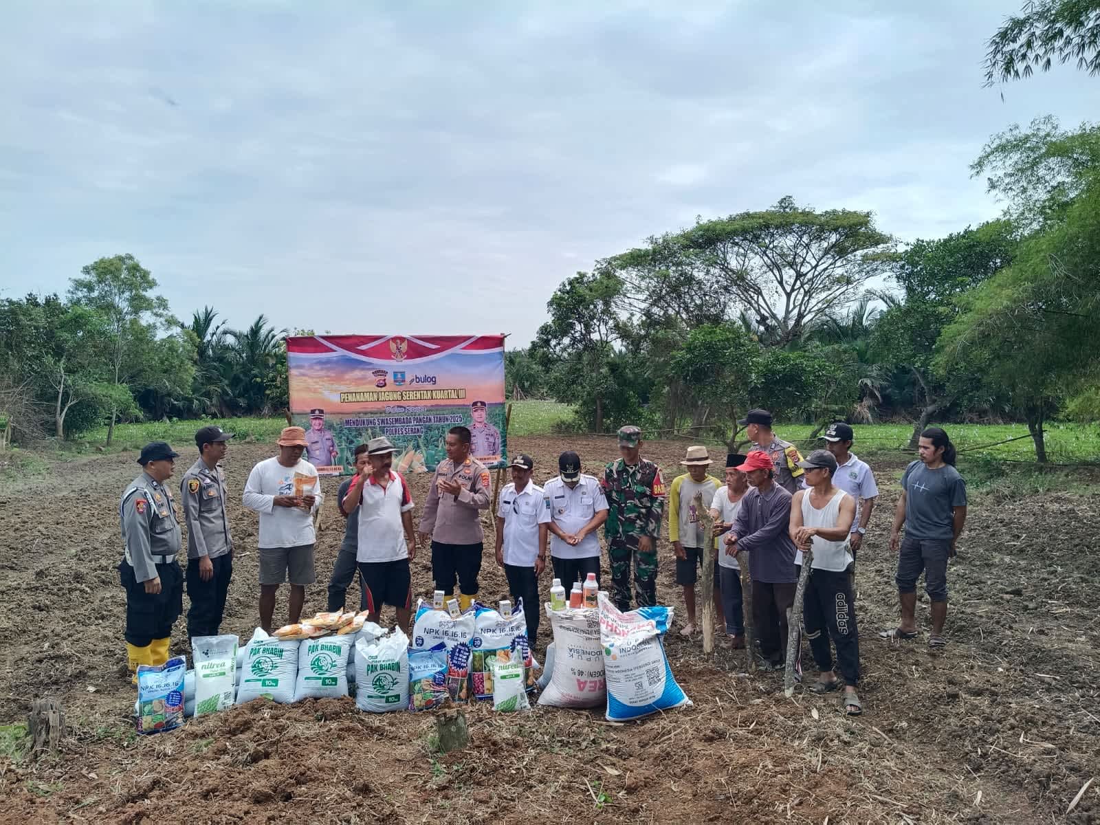 Dari Ladang Untuk Negeri : Polsek Carenang Tanam Jagung Kuartal III untuk Wujudkan Swasembada Pangan