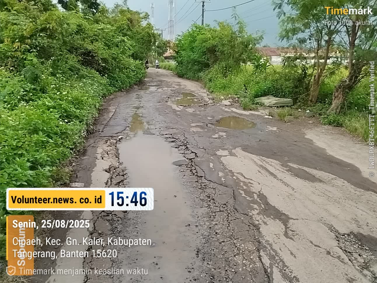 Jalan Rusak di Gunung Kaler : Nadi Ekonomi Warga yang Tertatih di Atas Lubang