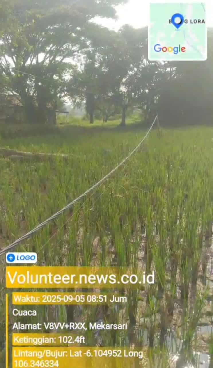 Kabel Listrik Menjuntai di Kec.Carenang : Warga Terancam, PLN Abai ?