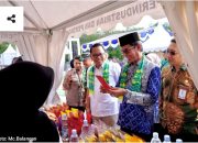 Adaro Spectapreneur Balangan 2025, Panggung Strategis UMKM Lokal Menuju Kelas Nasional