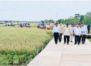 Panen Raya Karawang, Prabowo Nyatakan Indonesia Berdaulat Pangan