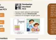 Kemenkes Perkuat Imunisasi PCV Lewat Vaksin Pulmera untuk Tekan Kematian Balita