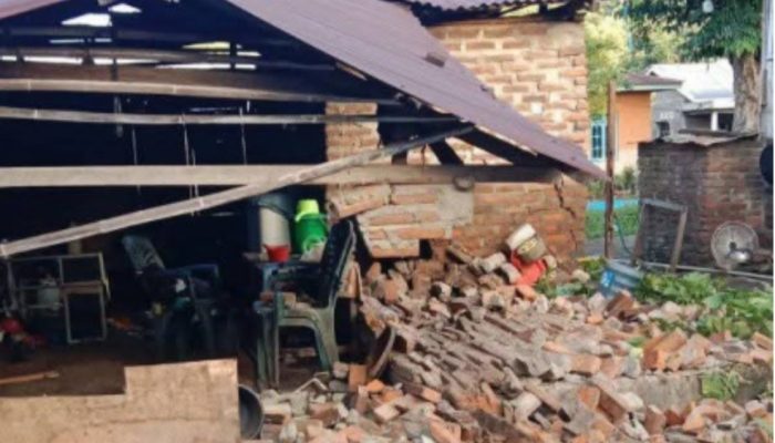 Gempa M 4,7 Guncang Flores Timur, Puluhan Warga Terluka dan Ratusan KK Terdampak