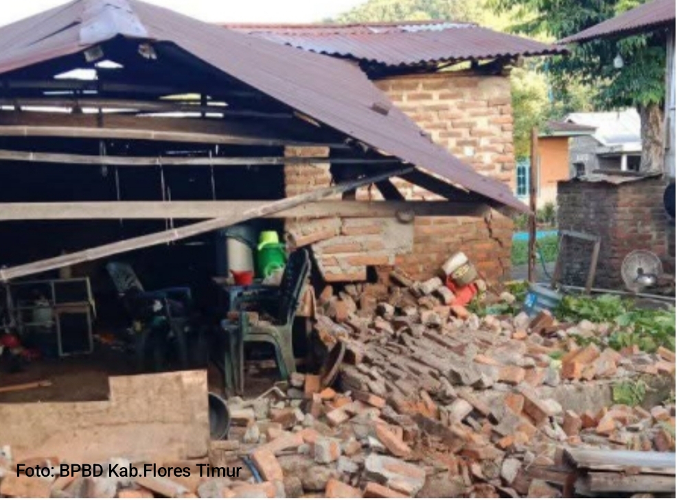 Gempa M 4,7 Guncang Flores Timur, Puluhan Warga Terluka dan Ratusan KK Terdampak