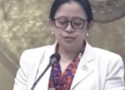 Saat Negara Mengetuk Pintu Dapur: RUU PPRT Masuk Babak Penentuan