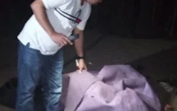 Sabung Ayam Digerebek, Korban Jiwa Muncul, Apa yang Terjadi?