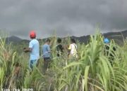 Tiga Pendaki Hilang Usai Erupsi Gunung Dukono, Tim SAR Berjibaku di Tengah Ancaman Lava Pijar