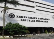 Pemerintah Tegaskan Ketahanan Pangan RI Kian Kokoh, Mayoritas Komoditas Strategis Dipenuhi dari Produksi Dalam Negeri